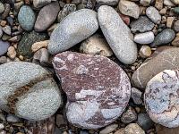 Unterschiedlich strukturiert und gefärbte Steine im Uferkies